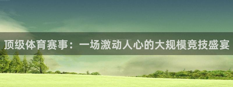 新球体育怎么设置专业模式：顶级体育赛事：一场激动人心的大规模竞技盛宴