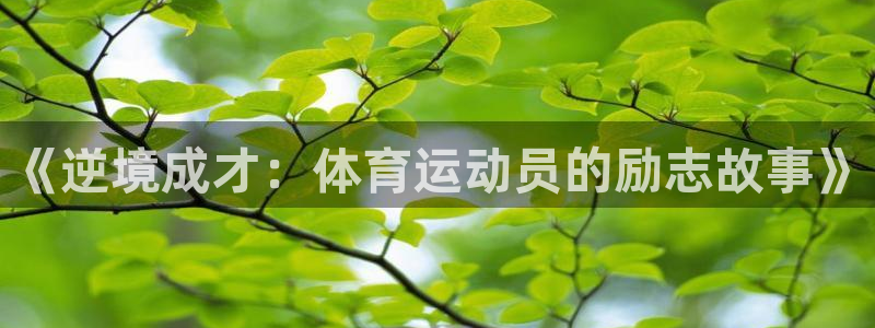 新球体育-球探体育：《逆境成才：体育运动员的励志故事》