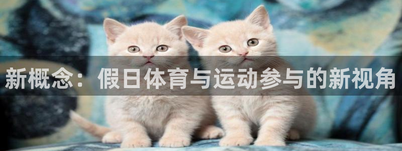 新球体育日乙积分榜：新概念：假日体育与运动参与的新视角
