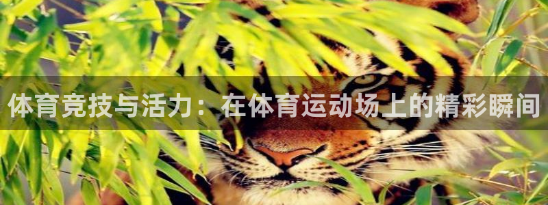 新球体育日职：体育竞技与活力：在体育运动场上的精彩瞬间