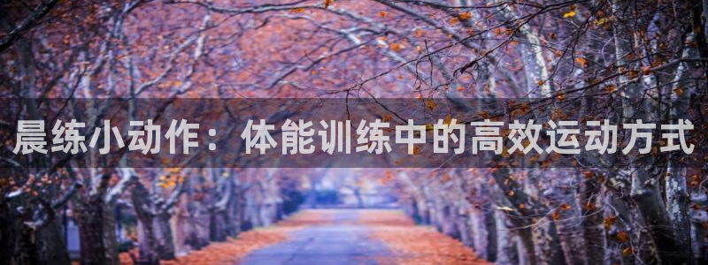 新球体育欧罗巴：晨练小动作：体能训练中的高效运动方式