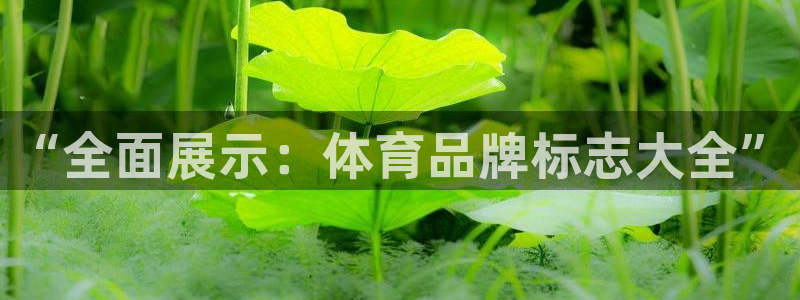 新球体育v5.0最新版本更新内容介绍：“全面展示：体育品牌标志大全”