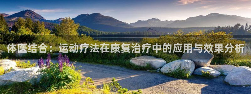 新球体育德甲：体医结合：运动疗法在康复治疗中的应用与效果分析