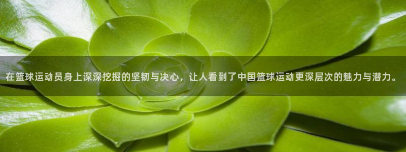 新球体育德甲：在篮球运动员身上深深挖掘的坚韧与决心，让人看到了中国篮球运动更深层次的魅力与潜力。