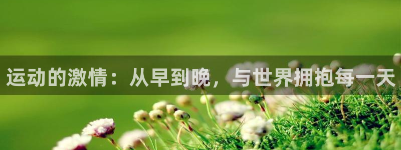 新球体育历史：运动的激情：从早到晚，与世界拥抱每一天