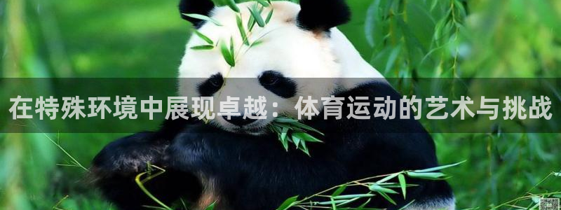 新球体育欧冠杯联赛资料：在特殊环境中展现卓越：体育运动的艺术与挑战