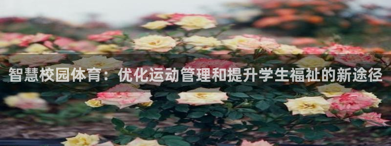 新球体育即比分：智慧校园体育：优化运动管理和提升学生福祉的新途径