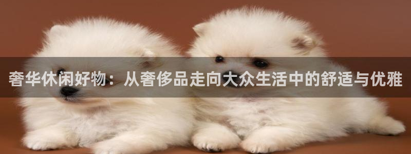 新球体育和球探体育是什么关系：奢华休闲好物：从奢侈品走向大众生活中的舒适与优雅